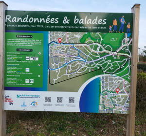 Balade à Hardelot-plage - Cécile - 3