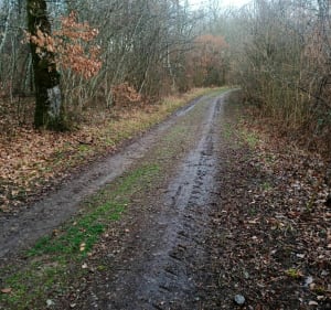 Ballade pour VTC autour du petit Colmont - Fontoy - 4