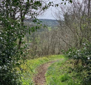 Petite boucle  à Tessy-sur-Vire - Tessy-Bocage - 3