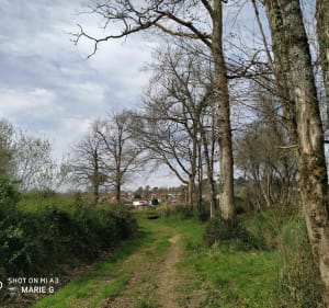 Le tour de Bassussarry par le chemin des Barthes - Marie G. - 4
