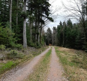 Le Circuit Roche des Hauts Champs - Alain - 3