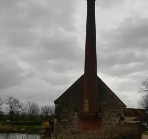 Dans la forêt. autour de la Chapelle de Bragny - La Chapelle-de-Bragny - 3
