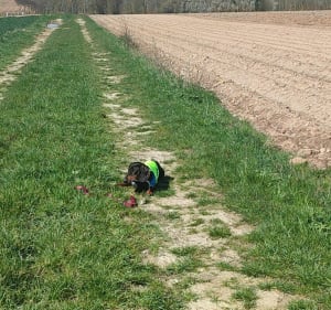 Rainneville, Molliens-aux-Bois, St-Gratien, Cardonnette en boucle - Virginie - 3