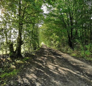 Le circuit des Baudets - Villers-au-Bois - 3