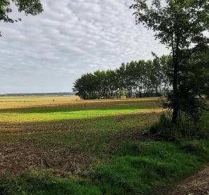 Le circuit des Baudets - Villers-au-Bois - 4