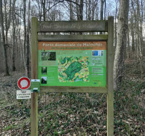 Balade en forêt Domaniale de Malmifait - Haute-Épine - 3