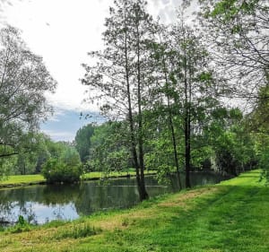 Circuit entre Lacs et Marais - Denis - 5