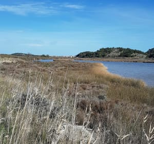 Gruissan et la multitudes de ses paysages. - Gruissan - 4