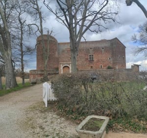 Entre chapelles et étangs autour de Sainte Olive en Vtc - Saint-Trivier-sur-Moignans - 3