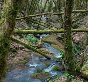 Balade en vallée de la jouire - Najac - 4