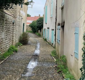 Sentier des 5 paysages Sainte-Marie de Ré - Sainte-Marie-de-Ré - 3