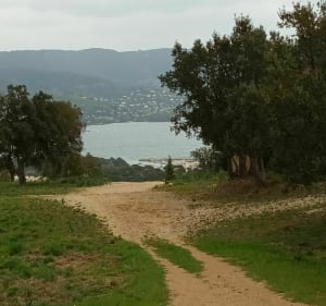 Cap benat-Cabasson - Bormes-les-Mimosas - 2