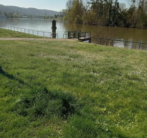 Balade au bord de l'eau les Andelys - Sylvie - 3