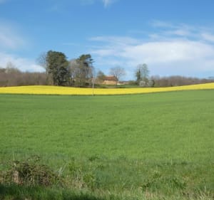Boucle des Sangliers - Proissans - 4