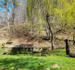 Balade bucolique par la forêt des Colettes - Coutansouze - 3