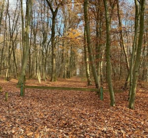Million-la-Chapelle - chemin de Racine - Beauregard - Veronique - 3