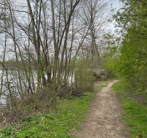 La gravière aux oiseaux - Mably - 3