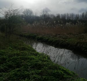 Canal de l'Ourcq et bois de Morfondé - Villeparisis - 3