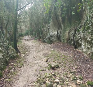 De Joucas à Murs en passant par les moulins - Joucas - 3