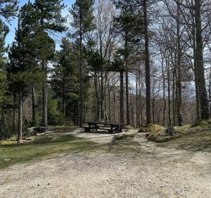 Boucle de la Réserve Naturelle à Prats-de-Mollo-la-Preste - K2METGE - 2