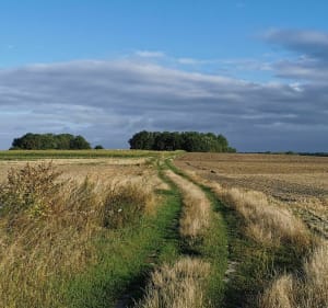 Les Plats Monts - Écourt-Saint-Quentin - 3