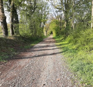 Les 4 marronniers - Saint-André-de-Corcy - 3