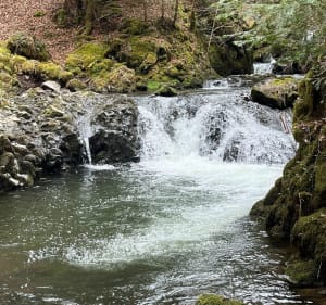 Cascades de Chiloza au départ de Besse - Besse-et-Saint-Anastaise - 5