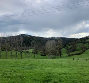 Egliseneuve-près-Billom et Vallée du Madet - Égliseneuve-prés-Billom - 3