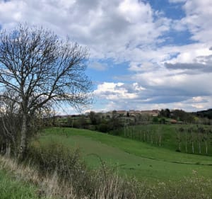 Egliseneuve-près-Billom et Vallée du Madet - Égliseneuve-prés-Billom - 4
