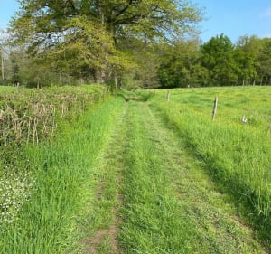 Courte balade en passant par le bois de La Perelle - Vougy - 4