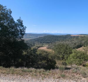 Sentiers de l'écureuil à Rouffiac-d'Aude - Rouffiac-d'Aude - 3