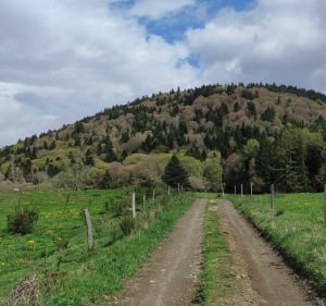 Nebouzat au coeur des volcans - Nébouzat - 3