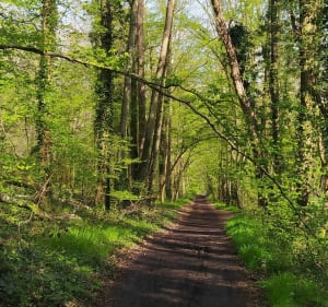 La Jean Racine - Saint-Rémy-lès-Chevreuse - 4
