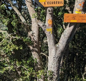 Sentiers de l'écureuil à Rouffiac-d'Aude - Rouffiac-d'Aude - 5