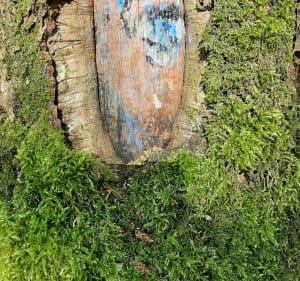 Belle balade au bois l'Evêque et vers le canal de la Sambre - Ors - 3