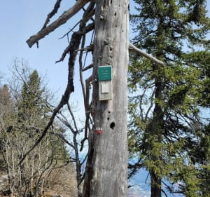Courte rando avec vue à La Buffe - Autrans - 5