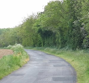 Nature ensoleillée en campagne de Sainte-Verge à Vélo - Sainte-Verge - 3