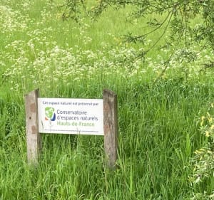 Entre Beuvry et Annequin - Beuvry - 4