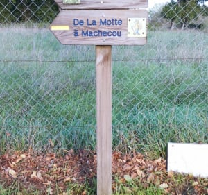 De la Pellouelle à une commune de Saint Romain, long - Sommières-du-Clain - 3