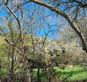 Promenade historique à Laurac le Grand - Laurac - 5