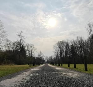 Circuit Les Fontaines - Givenchy-lès-la-Bassée - 5