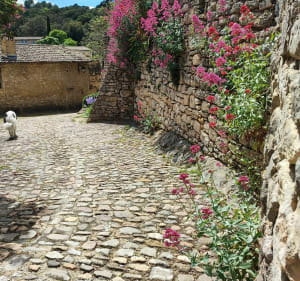 Les cascades du Sautadet en partant de Saint-Michel-d'Euzet - Saint-Michel-d'Euzet - 5