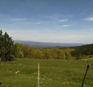 Wandelen naar Mont Aigoual - Val-d'Aigoual - 5