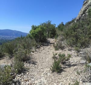 Sur les traces de Pagnol par le Pic du Taoumé - Allauch - 3