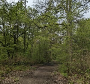 La tégéval, coulée verte entre ville et forêt - Valenton - 3
