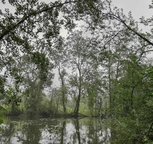Le sentier du Maresquay - Athies - 3