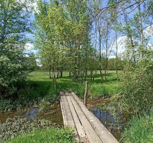 Belle rando le long du ruisseau à Rivarennes - Rivarennes - 5