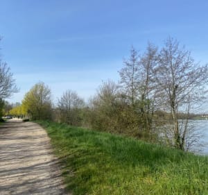Tour du Grand Lac à Montrevel en Bresse - Malafretaz - 3