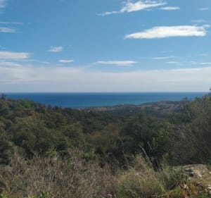 Rando en bas de la Massane - Argelès-sur-Mer - 3