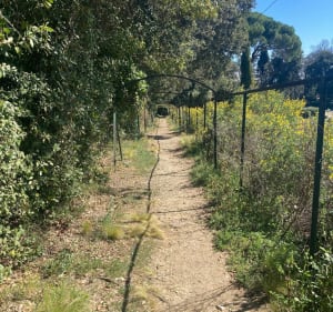 Petite balade boisée dans Montpellier au Départ du Malbosc - Benoit - 3